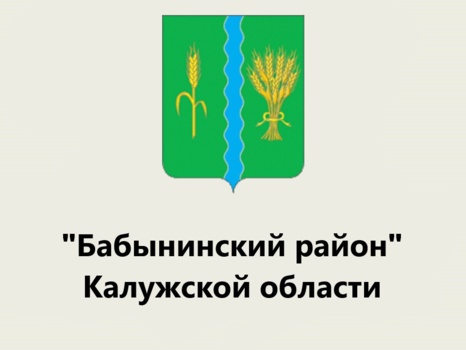 Общественный совет при администрации муниципального района «Бабынинский район»» Калужской области