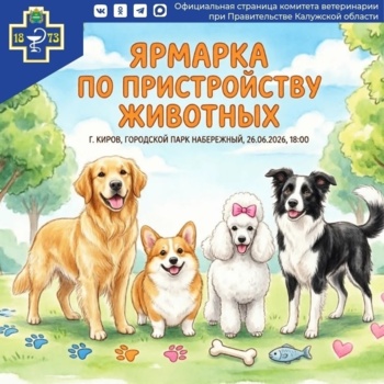 Приглашаем на ярмарку по пристройству животных!