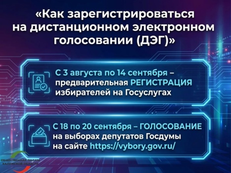 До завершения приема заявлений на участие в дистанционном электронном голосовании остаются считаные дни