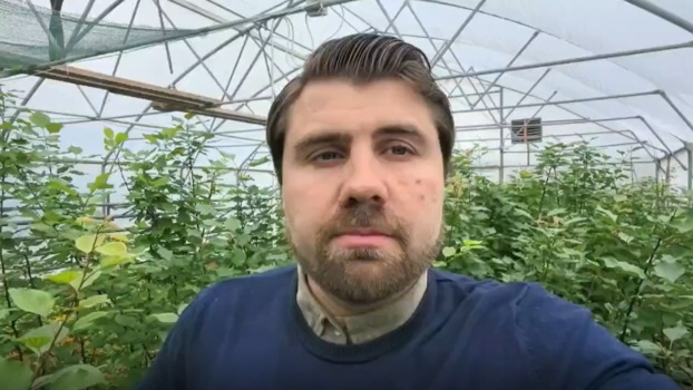 День экологических знаний