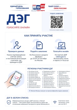 Тренировка системы дистанционного электронного голосования (ДЭГ)