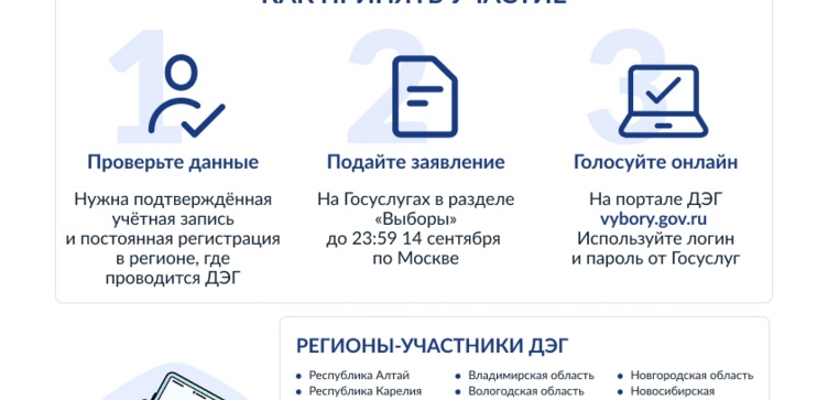 Тренировка системы дистанционного электронного голосования (ДЭГ)