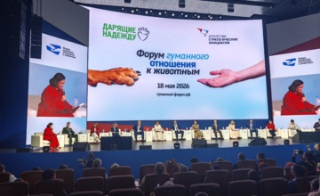 Оксана Лысенко: итоги форума АСИ о бездомных животных и новых правилах для владельцев собак