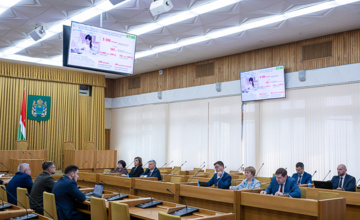 Антонина Белкина представила отчет о работе регионального отделения Союза женщин России на заседании Правительства региона