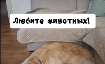 Продолжаем публикацию работ победителей конкурса "Верные сердца"